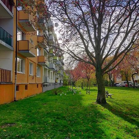 Apartmán Muszelka Kolobřeh Exteriér fotografie